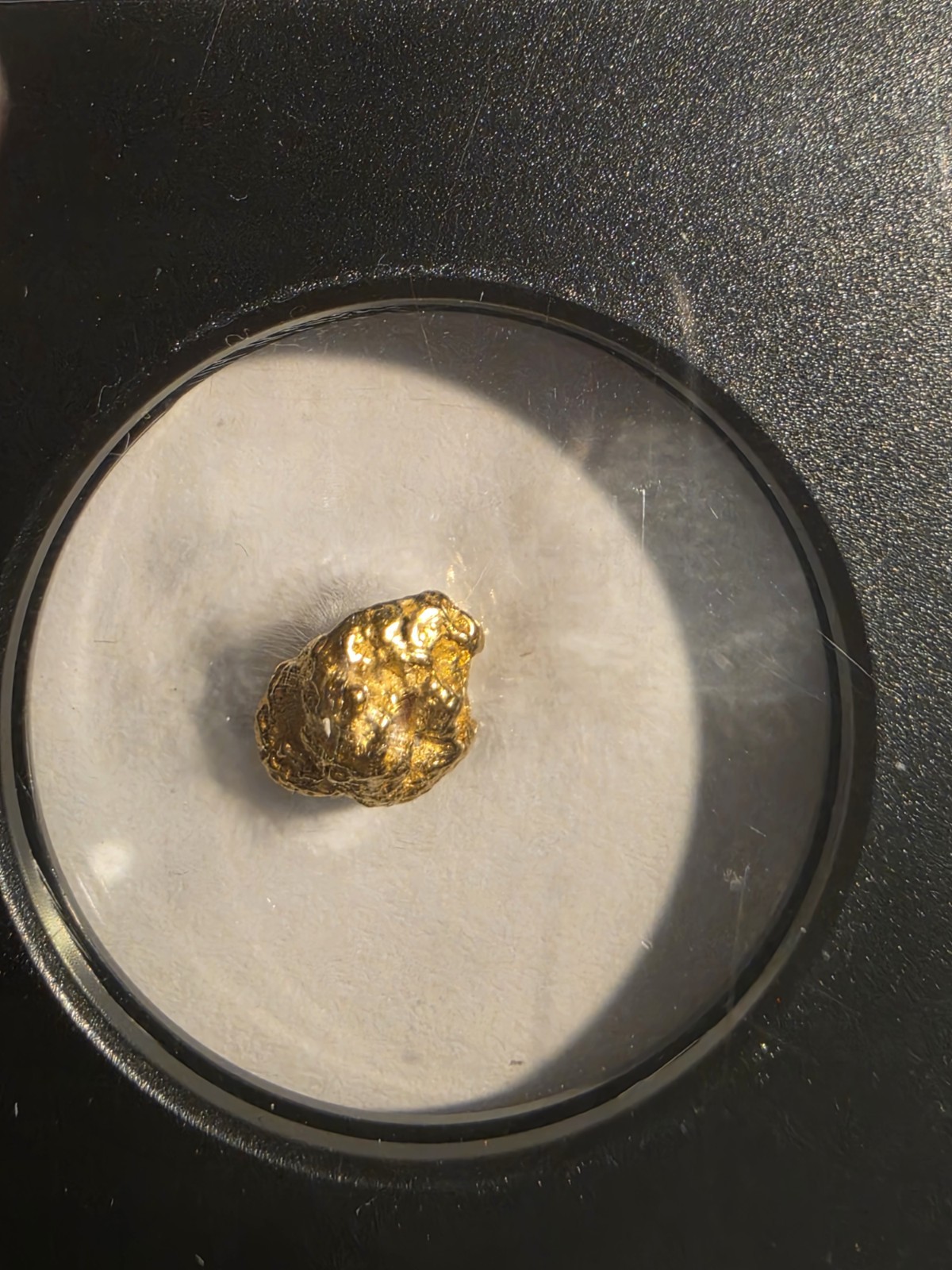 Alaska Gold Nugget 1.66 Grams