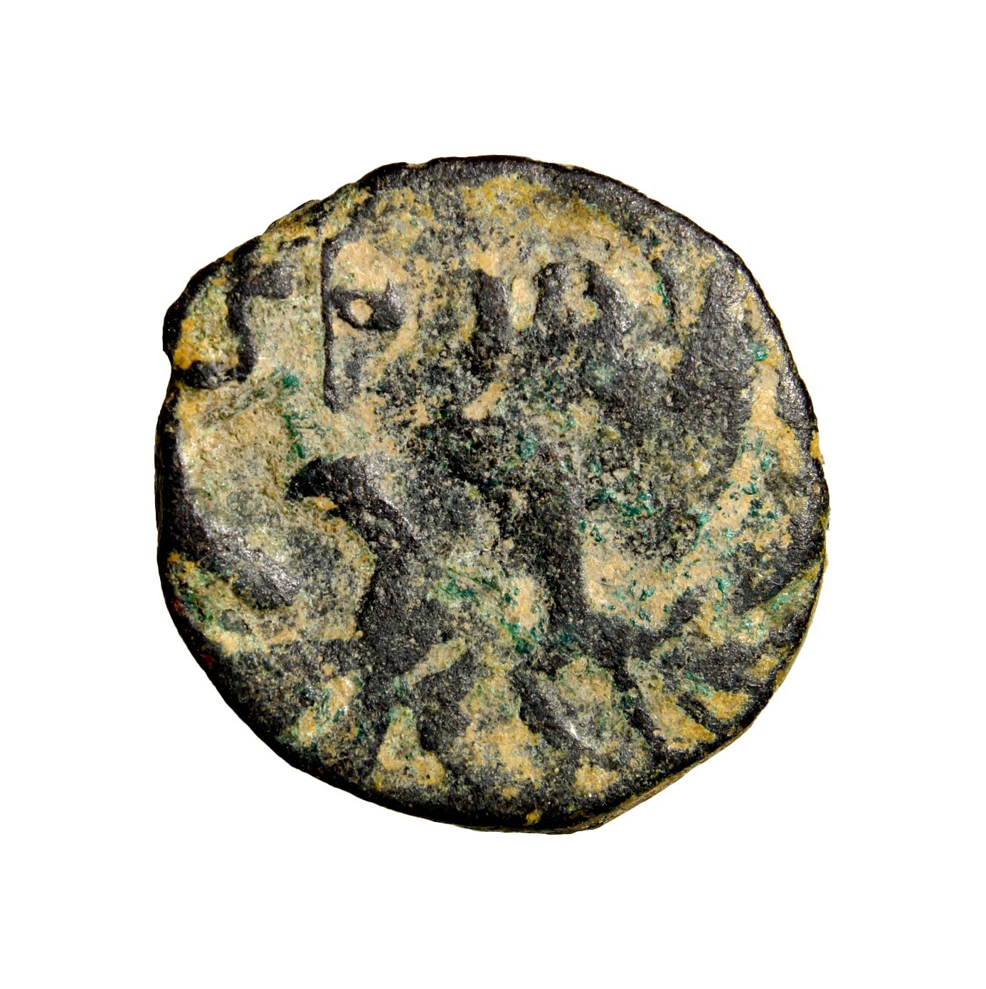 UNPUBLISHED Two Eagle SPQR JUDAEA. Caesarea Maritima. Severus Alexander, 222-235