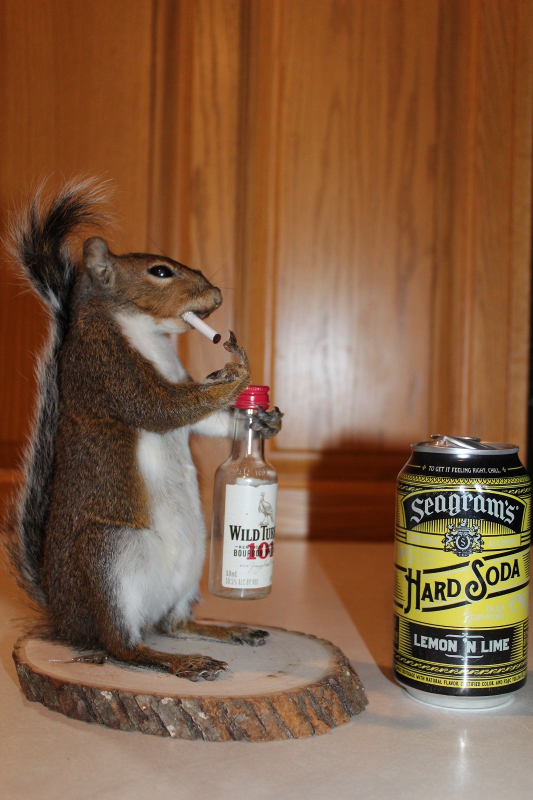 Taxidermy Naughty Squirrel Mount Novelty Present Whitetail Deer Log Cabin Decor