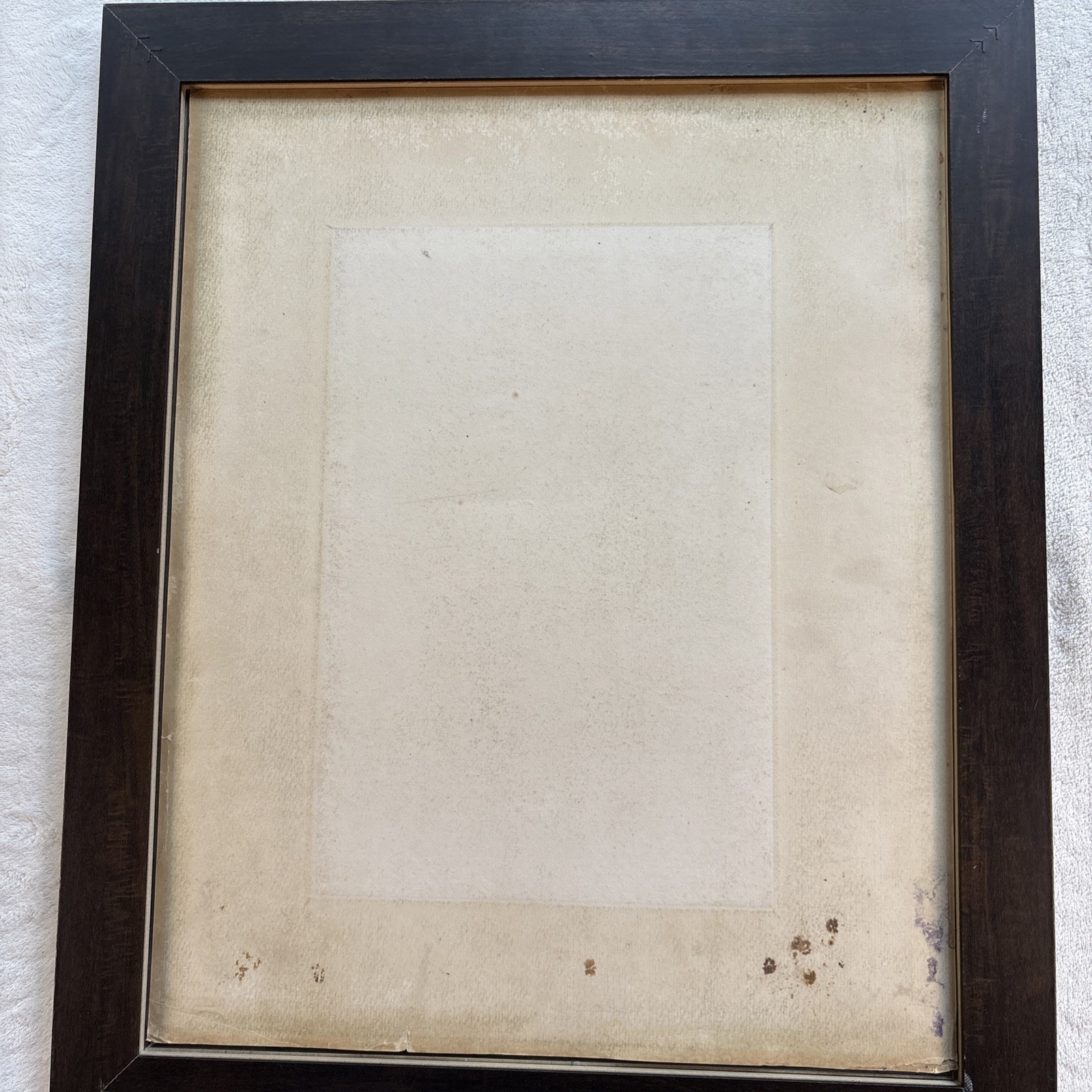 1903 Theodore Roosevelt Photogravure Portrait Gravure Co. of America Framed