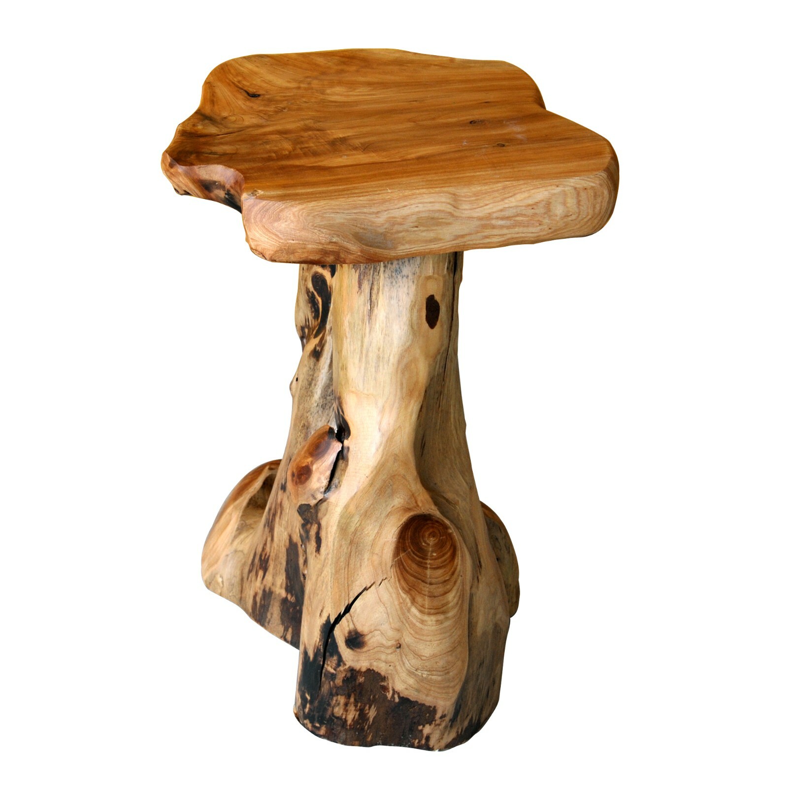 Rustic Cedar Roots Flower Stand Stool, Tree Stump Stool Side Table 19.5" H