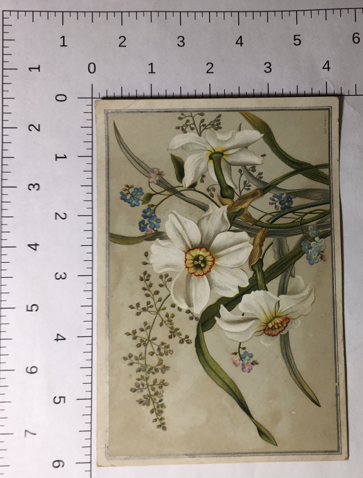 Victorian Card Lovely Lilly Flowers