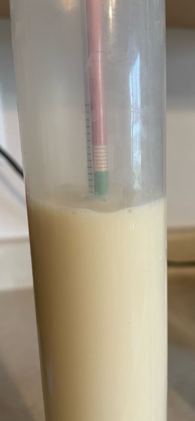 100% BovineRaw Freeze Dried Colostrum Powder High IgG 60-80 mg/ml Immunoglobulin