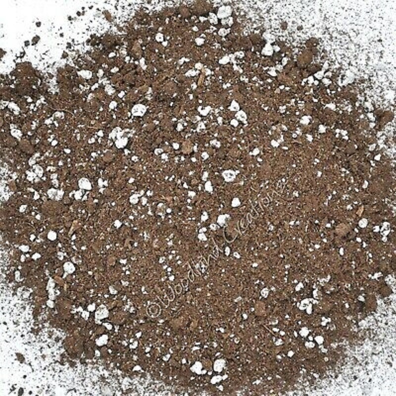Pro-Mix HP Potting Mix Seed Germination Soilless Growing Media Mycorrhizae FAST