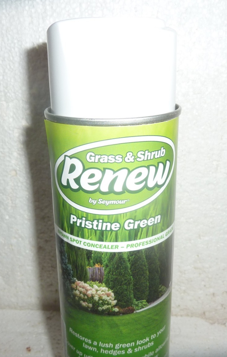 RENEW Grass and Shrub Pristine Green 1 - 17oz. Can New