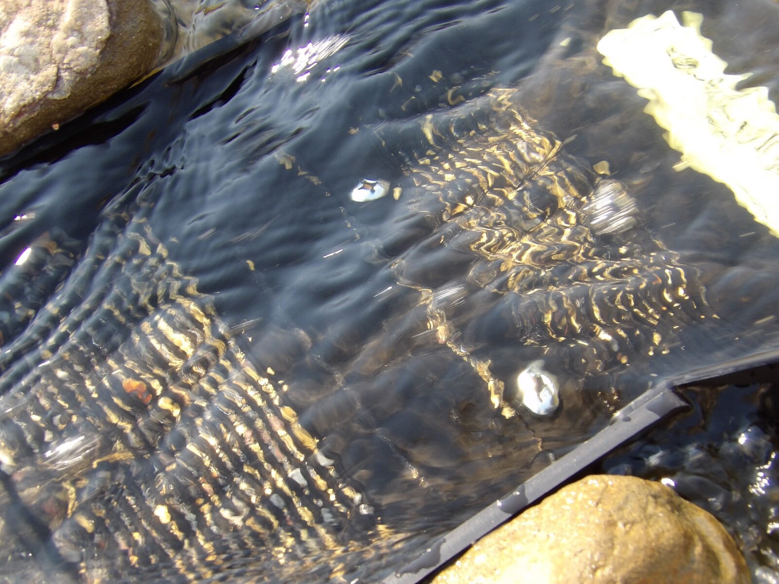 TEE DEE E-Z easy SLUICE with Flare Miners Moss Deep Groove Riffles LIGHT WEIGHT