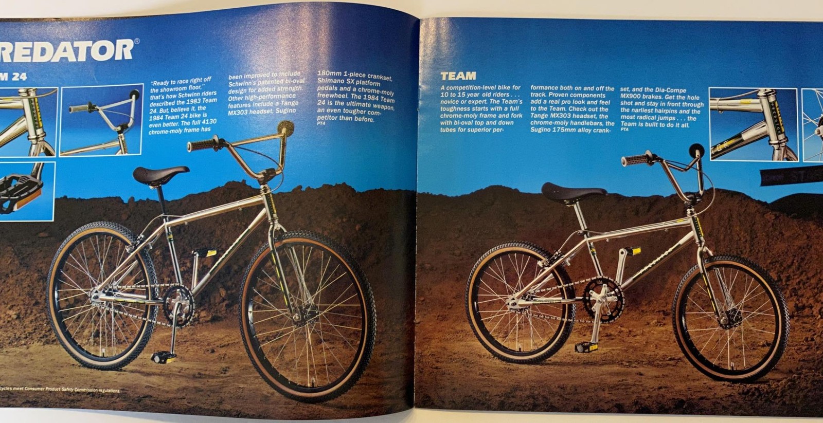 original 1984 Schwinn Bicycle Co. BMX CATALOG brochure Predator Sting Thrasher