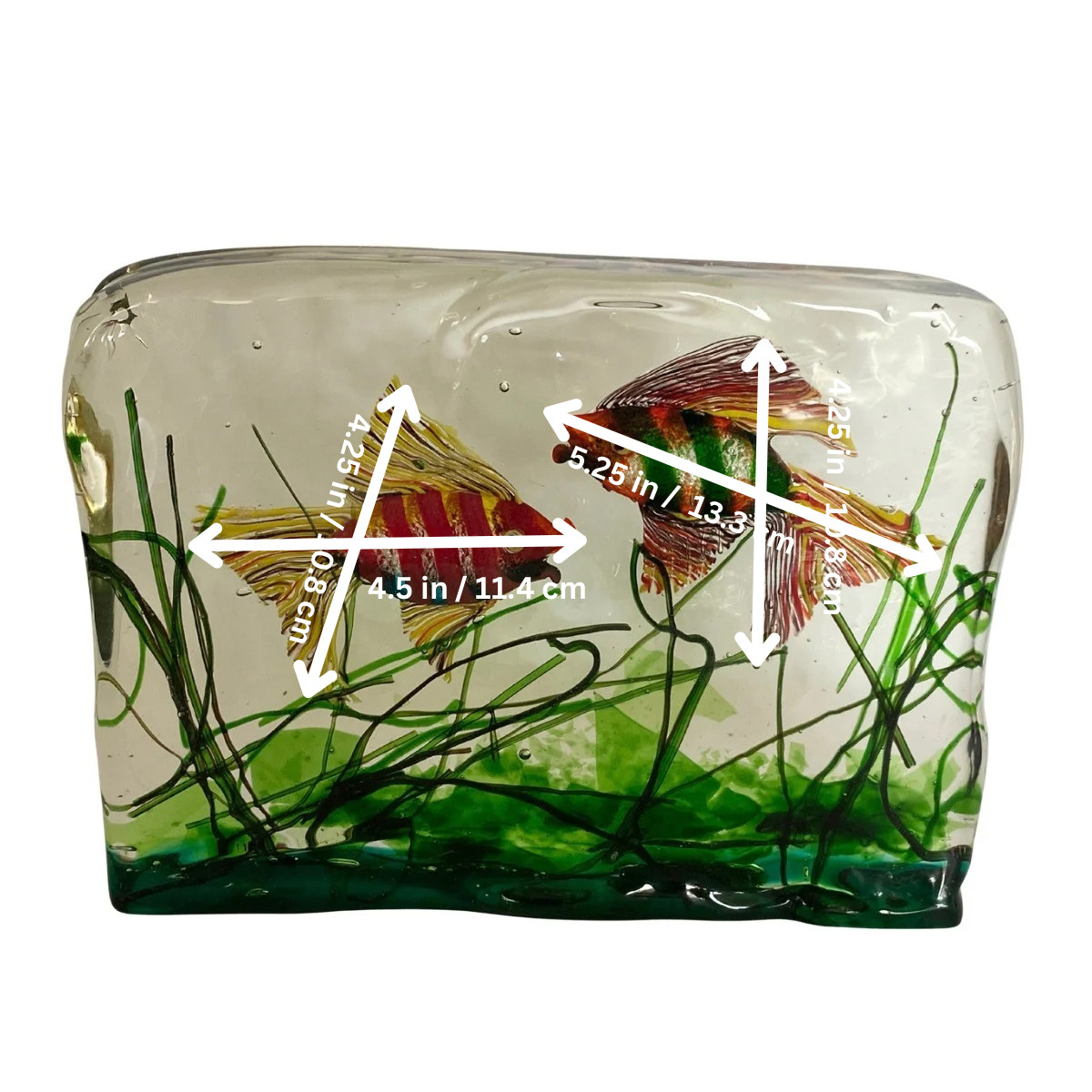 Exceptional Alfredo Barbini Cenedese Murano Glass Fish Aquarium Sculpture 14 LBS