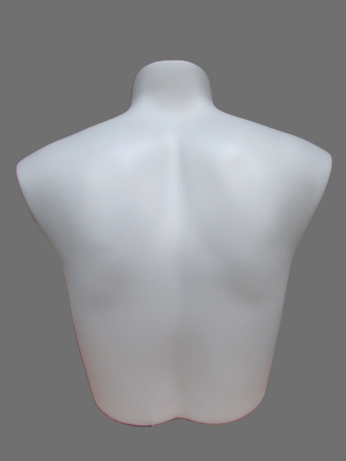 New Fusion Specialties Female Torso Bust Bra Gray Mannequin Clothing Display