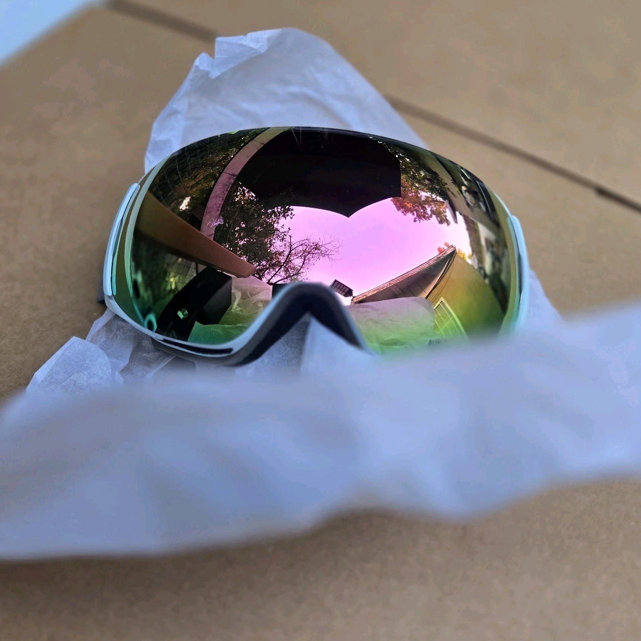 Wildhorn ROCA SNOW GOGGLE/SKI AND SNOWBOARD GOGGLES ROCA-FROST-SAPPHIRE