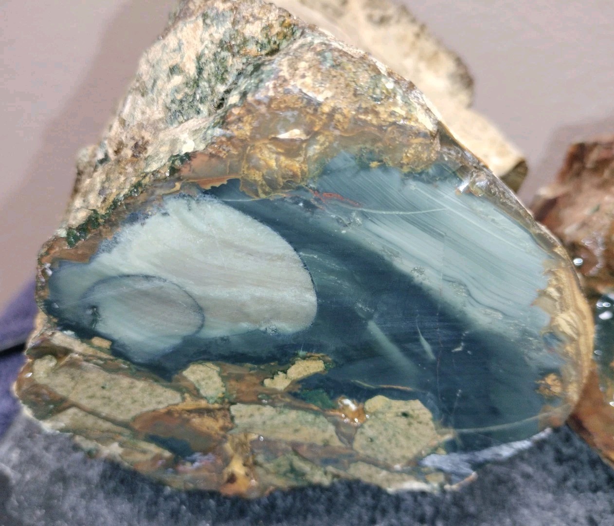 12LB ORBS Blue Mountain Picture of Jasper Rough 4pc Lot #21