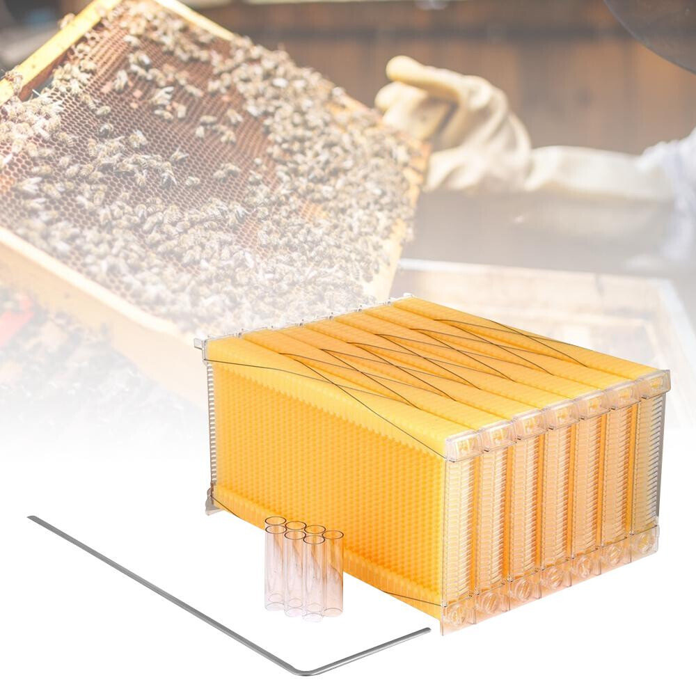Wooden Beekeeping Beehive House Box + 7PCS Automatic Honey Bee Comb Hive Frame