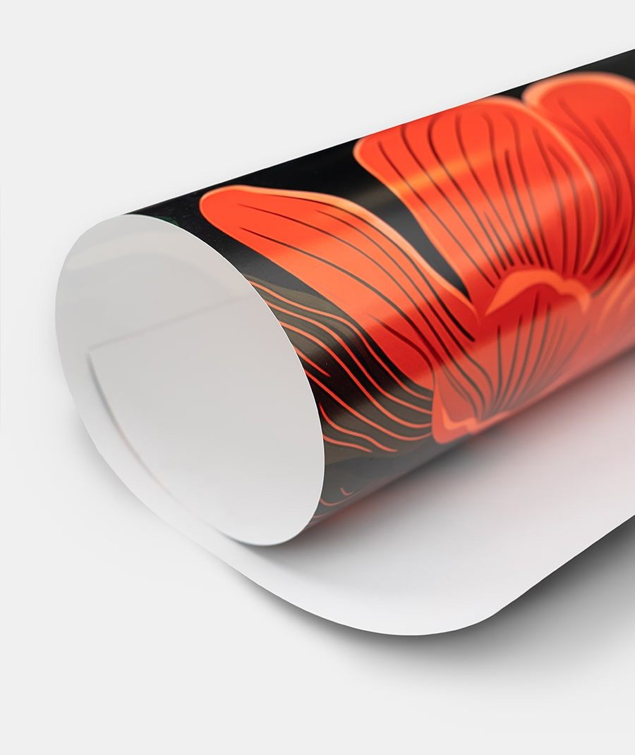 Conan Gray Wishbone World Tour 2026 Poster, FAST SHIP