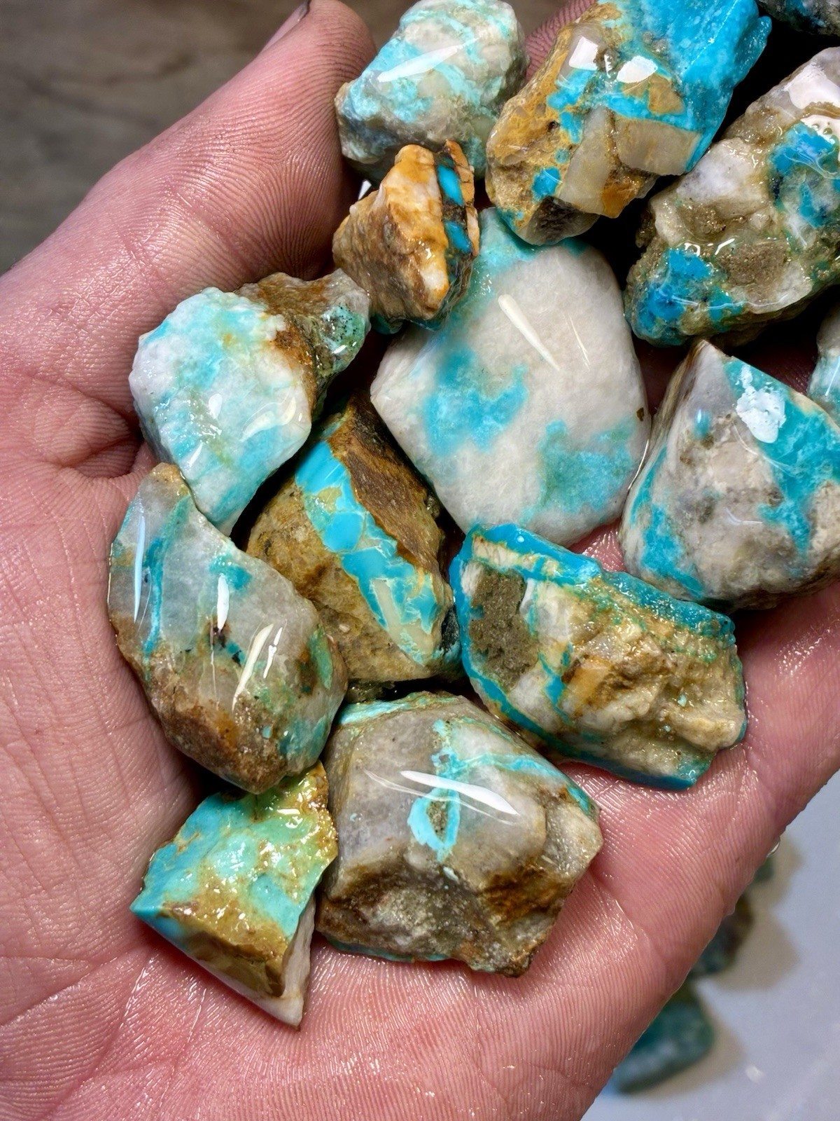 1 Lb of Skinny Turquoise Mountain Nugs! Now Available Again! ￼