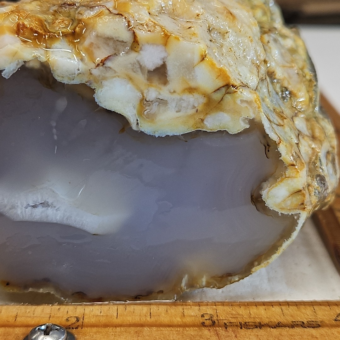 Flower Agate, Madagascar, beautiful color, flower like dendrites 1LB 15.5oz.