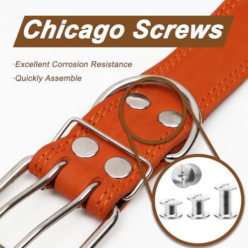 120 Sets Chicago Screws for Leather,Metal Repair Rivets Kit,Silver M5 Sizes