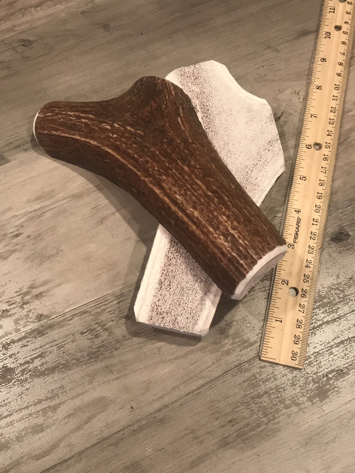 One JUMBO ~ Split Elk Antler ~ Premium Dog Chew (1pc) **OREGON ANTLER WORKS**