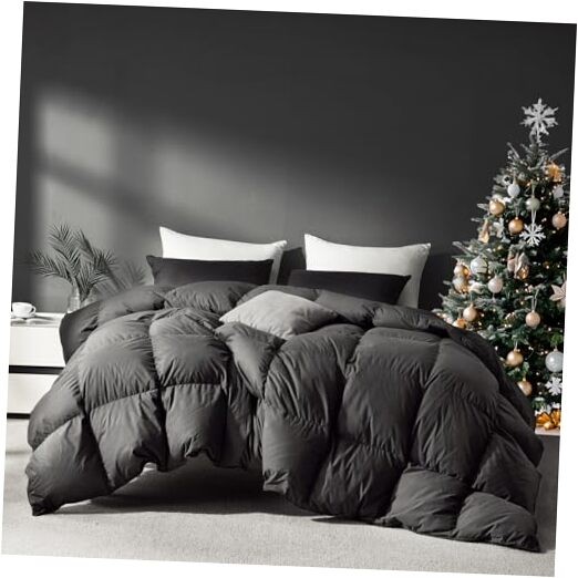Grey Goose Feather Down Comforter Queen Size, Premium Queen-90x90" Dark Grey