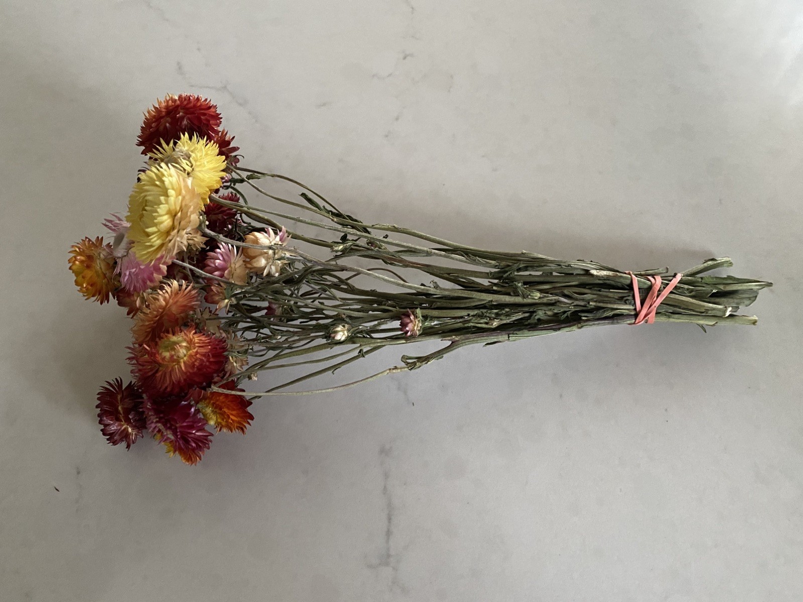 Beautiful STRAWFLOWERS Assorted Bunch BOUQUET Bundle DRIED Flowers USA Auc#4