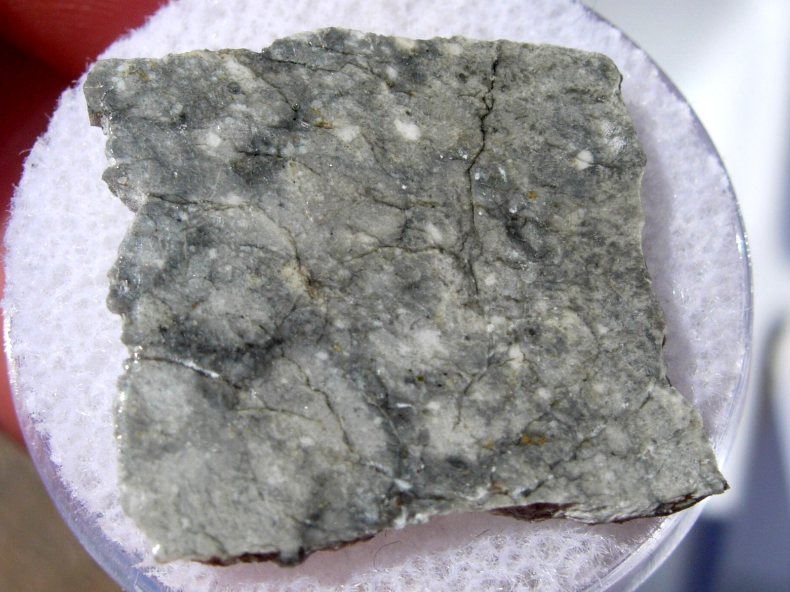 1.45 grams 21x17x2mm Gadamis 004 Lunar Meteorite slice in a gem case with a COA