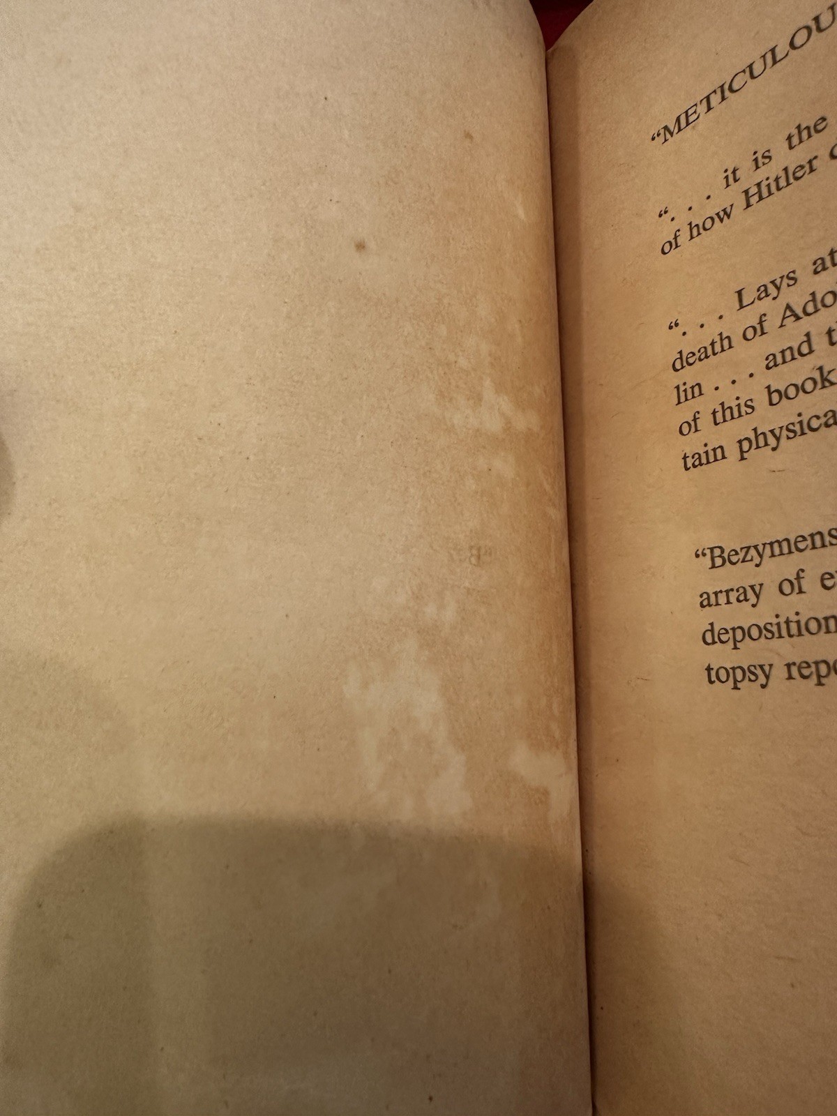 RARE The Death Of Adolf Hitler Lev Bezymenski 1968 Soviet Archives 16 Photos