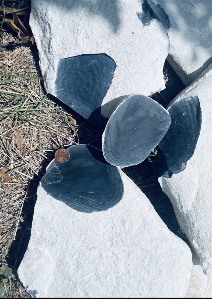10 Pounds Of High Quality Blue Georgetown Flint (Whole Rock)Flint Knapping