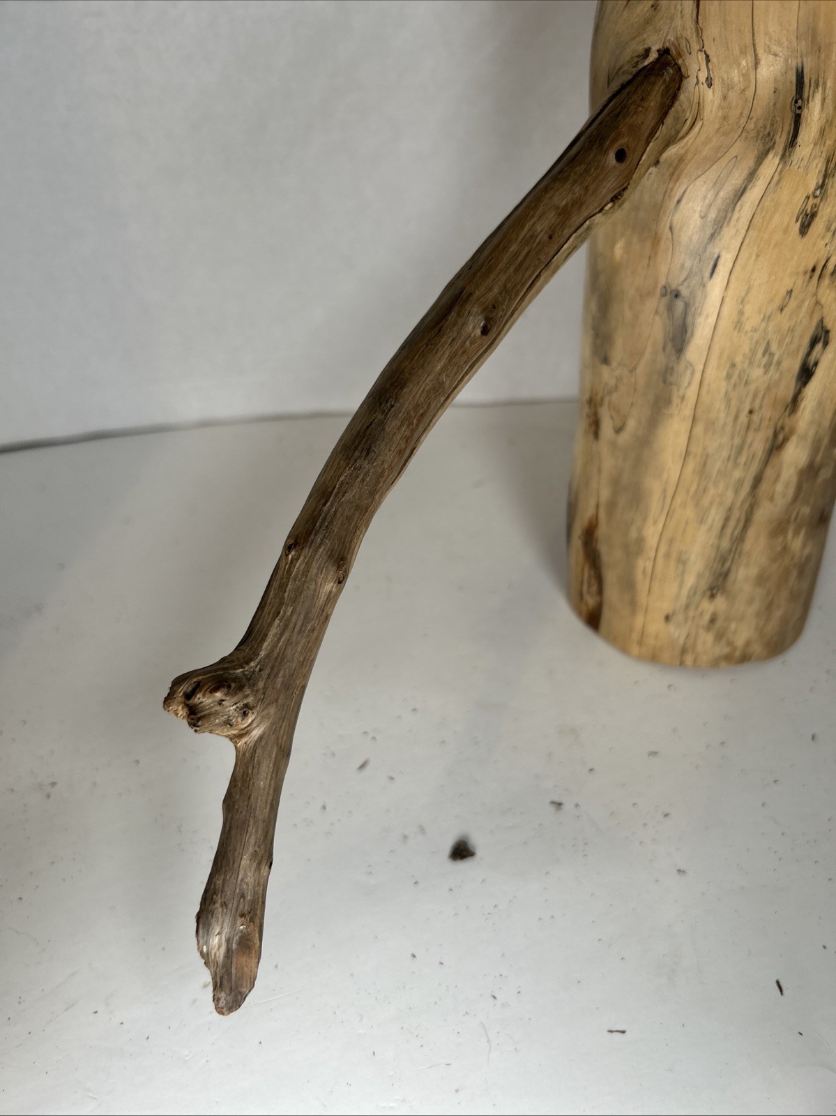 Driftwood¡ 2 Piece Set Cedar Taxidermy Beach Mountain Wedding 1 White Outside