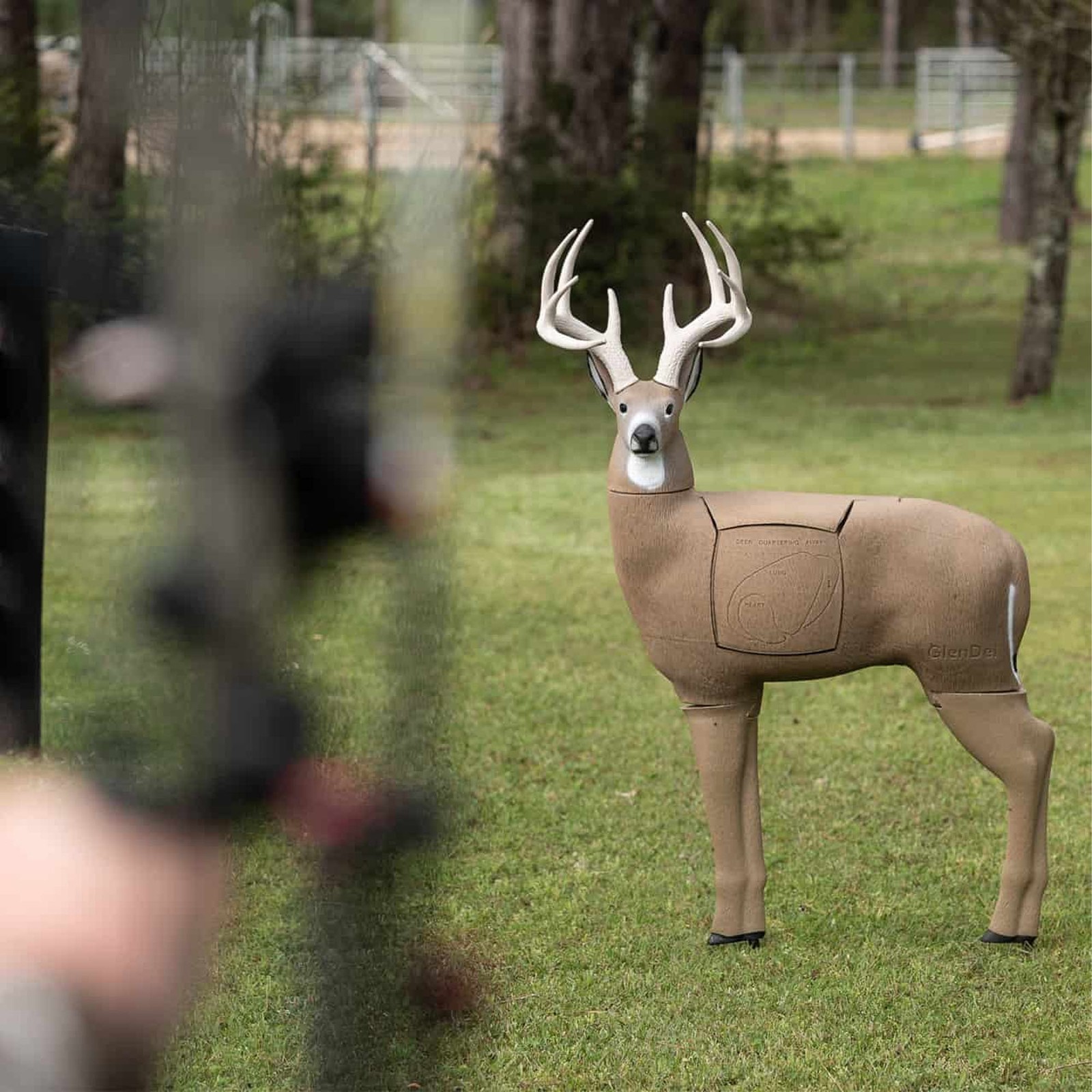 GlenDel Target Buck w/4-Sided Insert