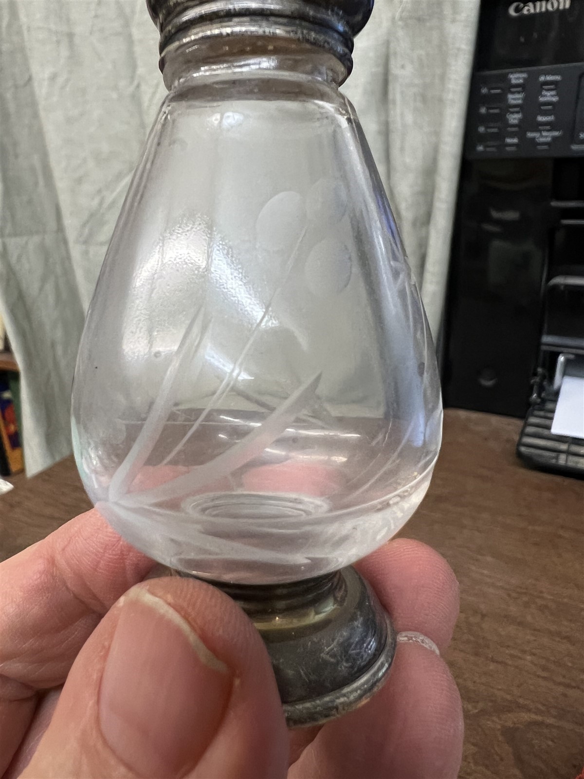 Etched Crystal and Sterling Silver Salt and Pepper Shakers