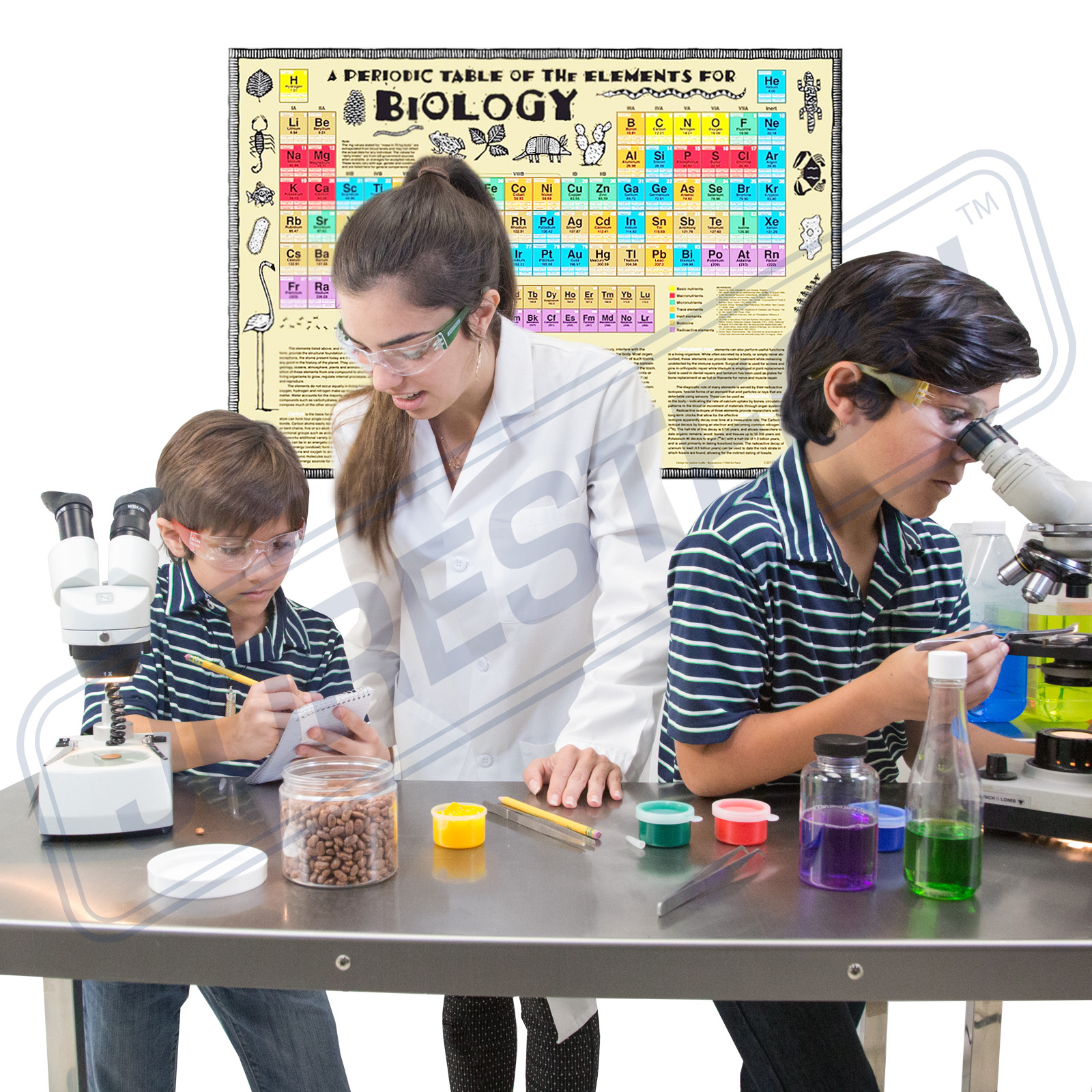 12 144 PAIR JORESTECH CLEAR/SMOKE UV LENS LOT SAFETY GLASSES BULK NEW