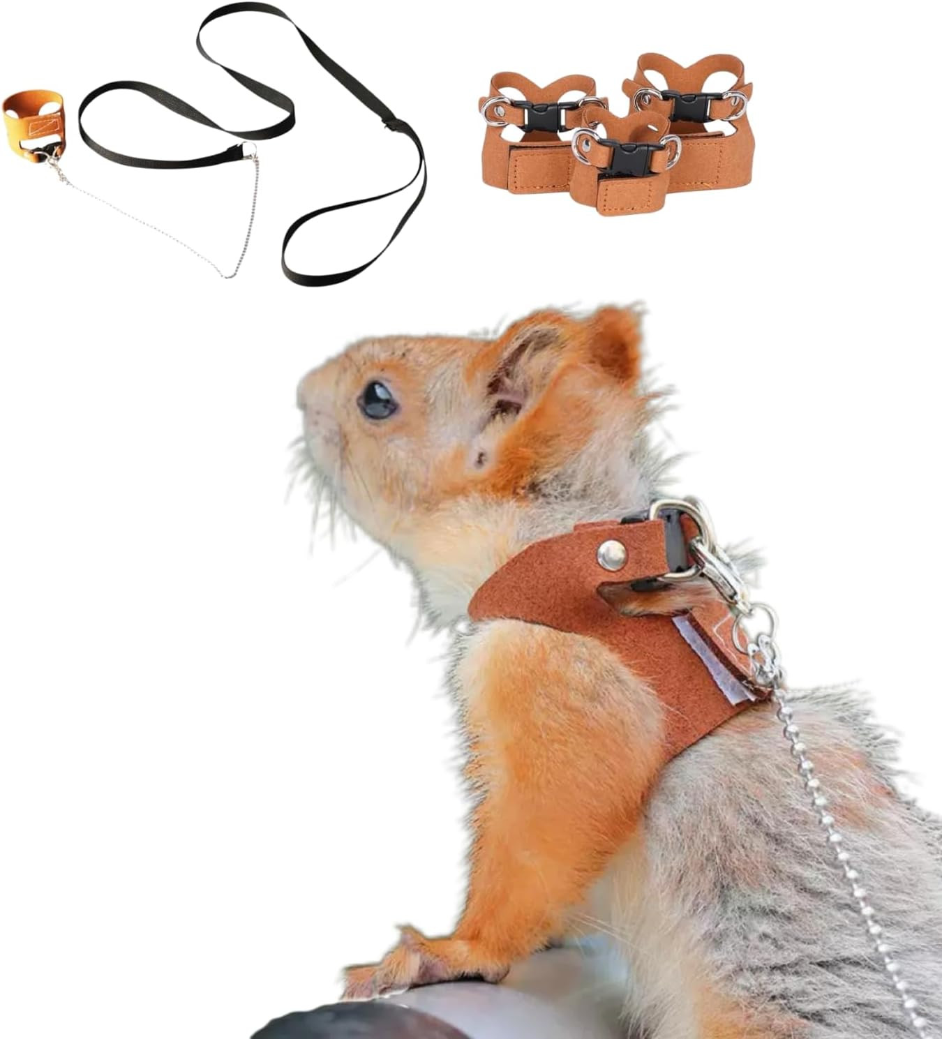 3 Pack Squirrel Harness and Lesh Set Adjustable Leather and Traction Rope Strap
