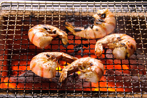 NEW Japan Yakitori BBQ Diatomite Charcoal Grill Barbecue Hibachi Konro