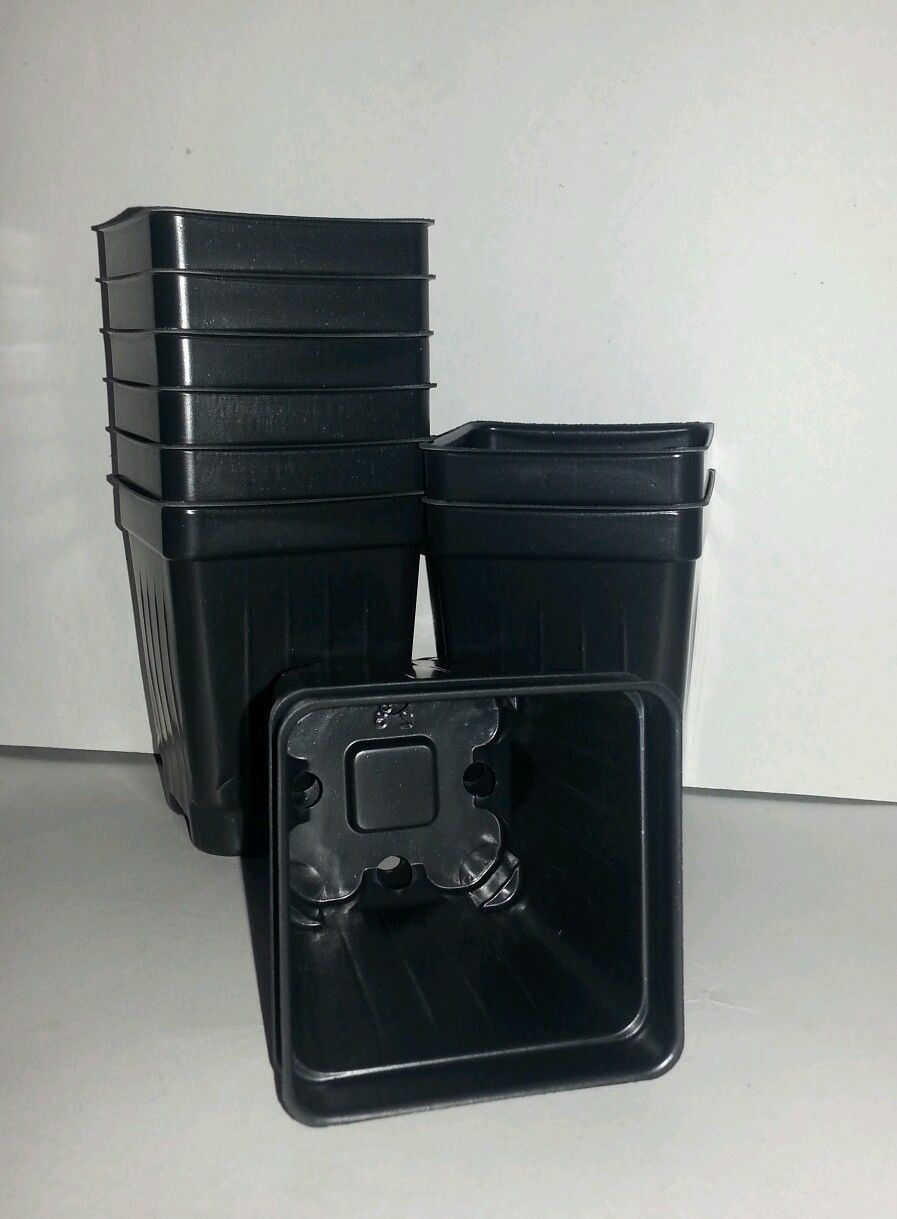 Set of 3 Divided Trays and 96 - 2.5 inch SQUARE DEEP NURSERY POTS Landmark