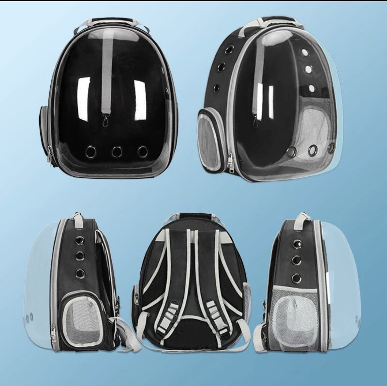 Pet Capsule Carrier Breathable Small Pet Bag Outdoor Transparent Travel 12x15x8