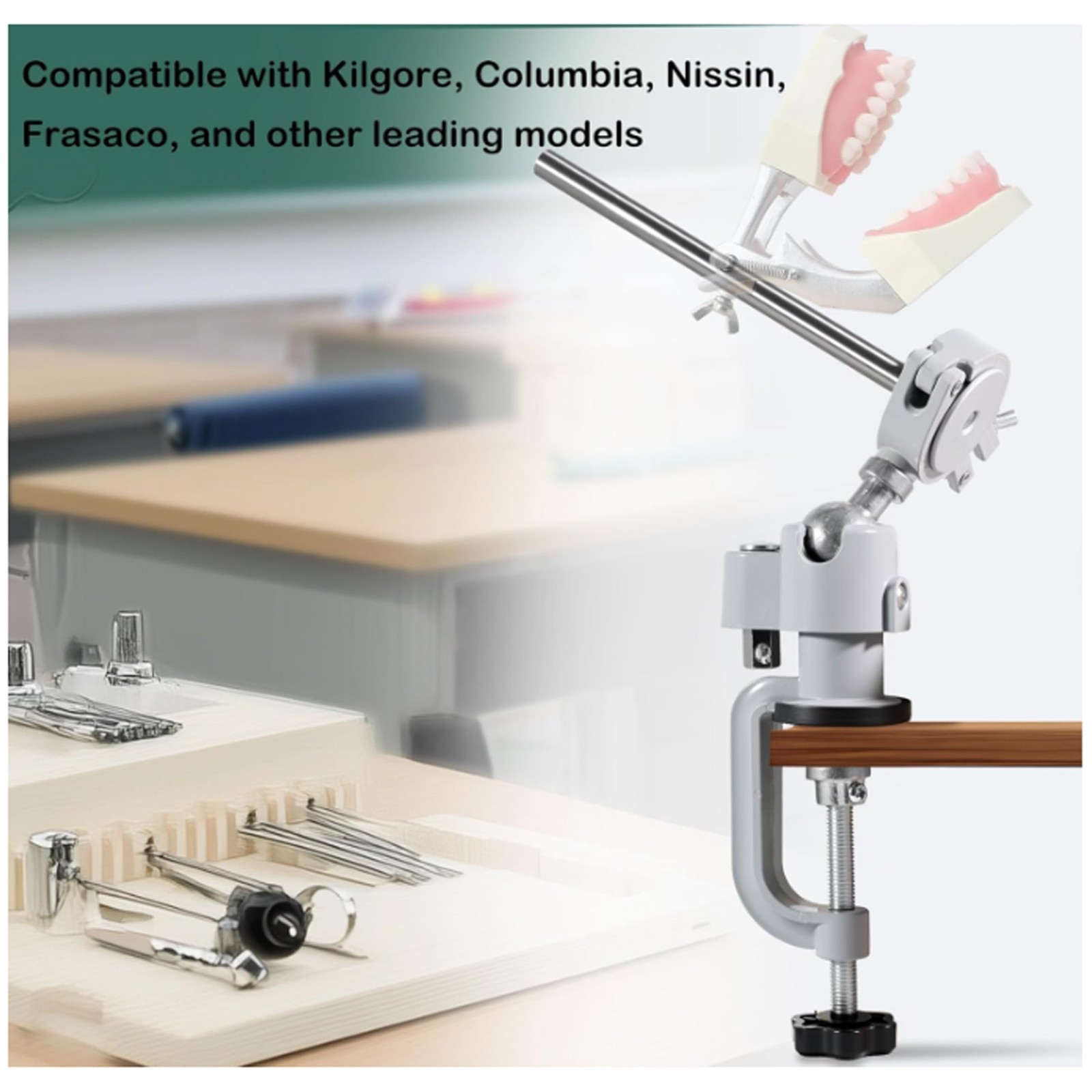 Dental Columbia Dentoform 860 Type Typodont​ 32 Teeth Removable​ Mounting Pole