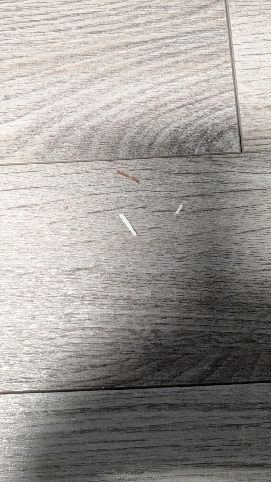 Santa Cruz x Vans Cruiser Board 2012 Promo Checker Slip On Oj3 Krux Trucks Shoe