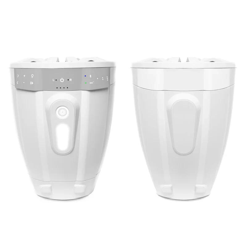 ECOXGEAR ExtremeTower Speakers TA8 - 1 Bluetooth Amplified + 1 Passive Speaker