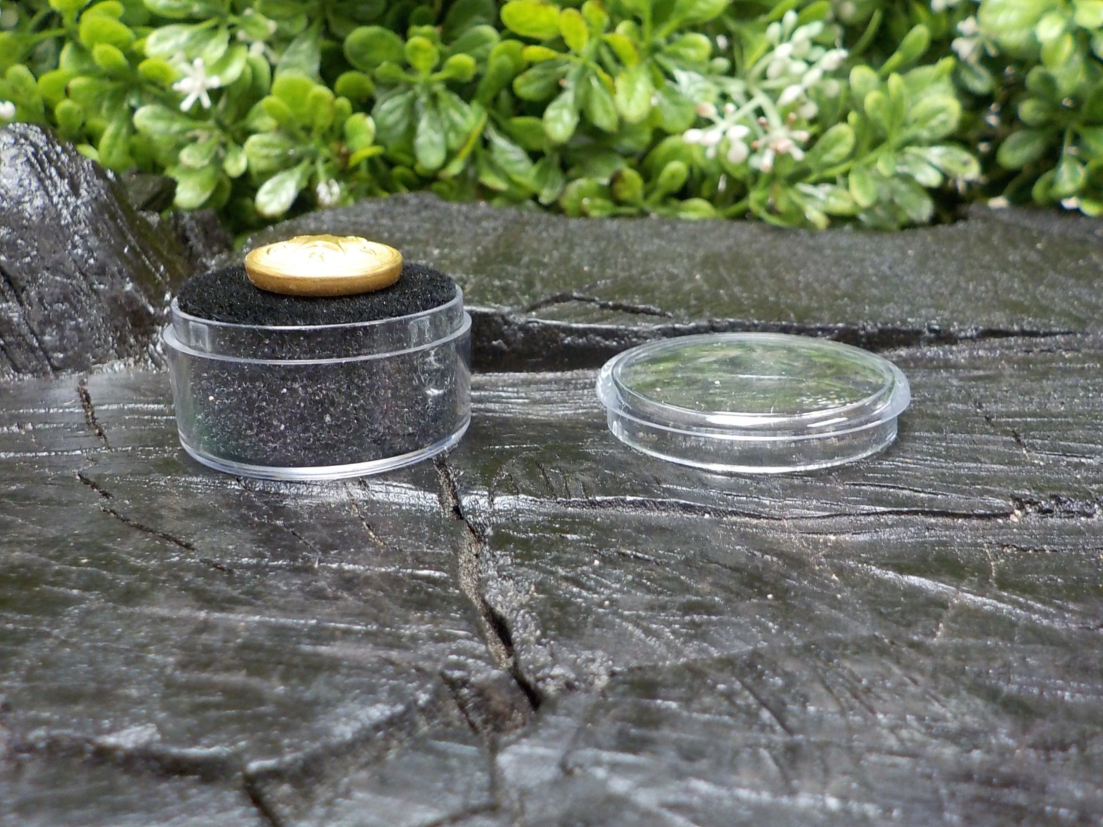 Texas State Seal Vest Button Loaded with Gold in Color w/ Free Button Case