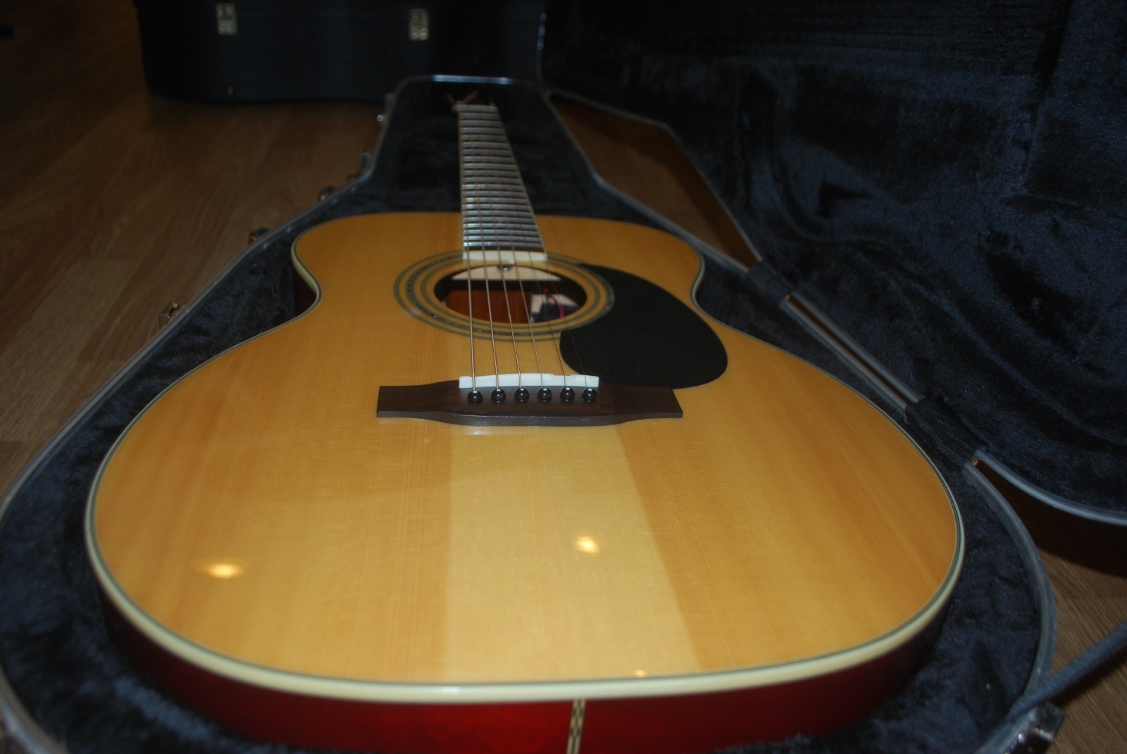 Zager ZAD 50 OM Acoustic Electric Guitar With Zager Hard Shell Case