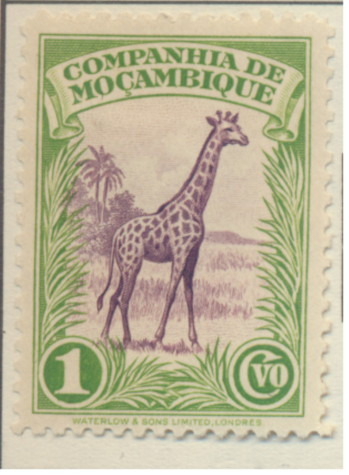 Mozambique Company Stamp Scott #175, Mint Hinged, Giraffe