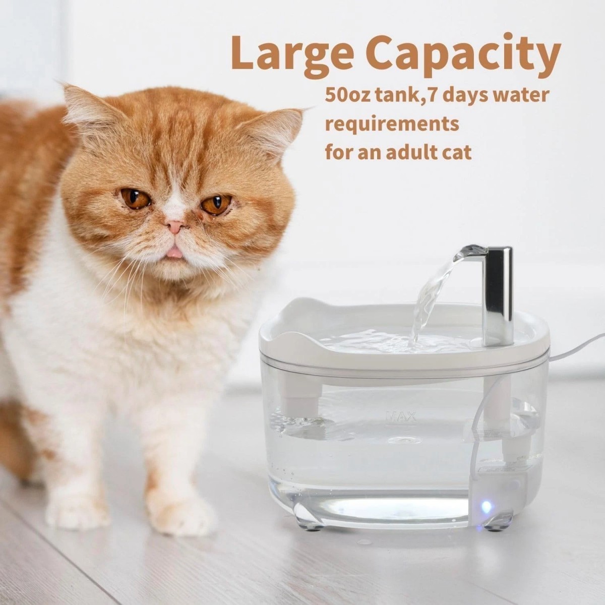Large Capacity Cat Water Fountain-Automatic 50oz Pet Water Fountain for Cat Dog