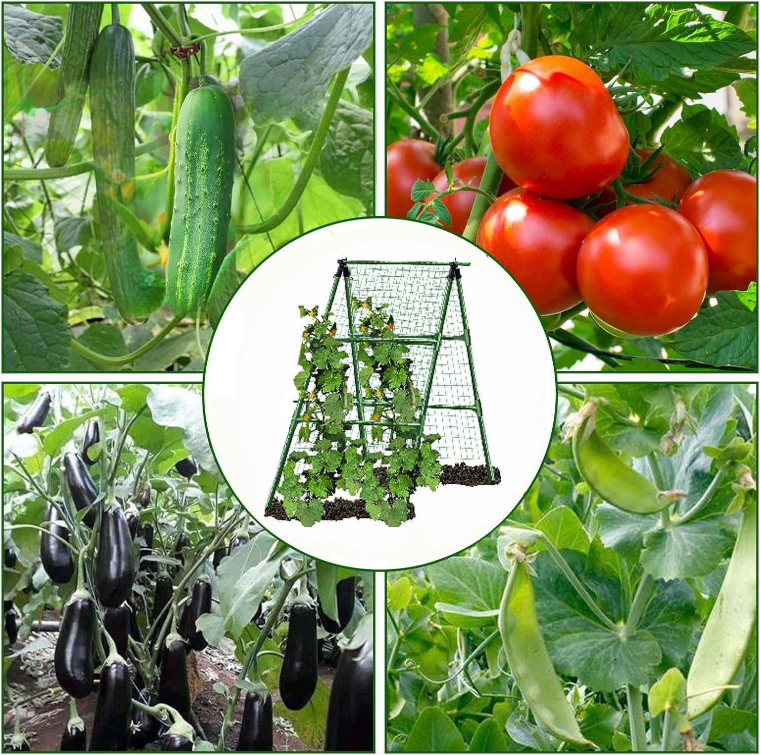 A Frame Metal Garden Trellis for Climbing Plants 47in with Net & Clips