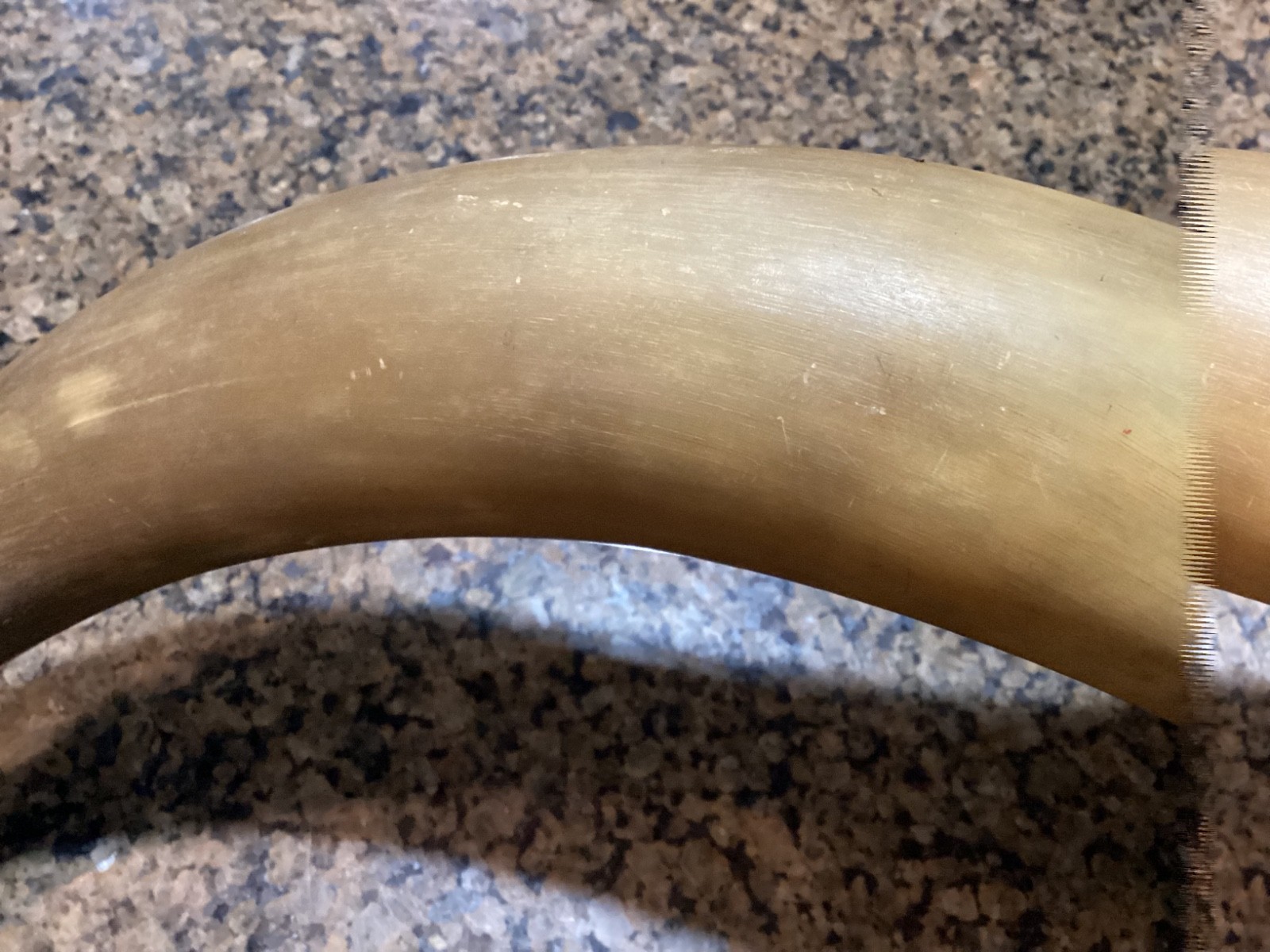 Large 18” Antique Powder Horn Engraved 1st New Jersey 1861