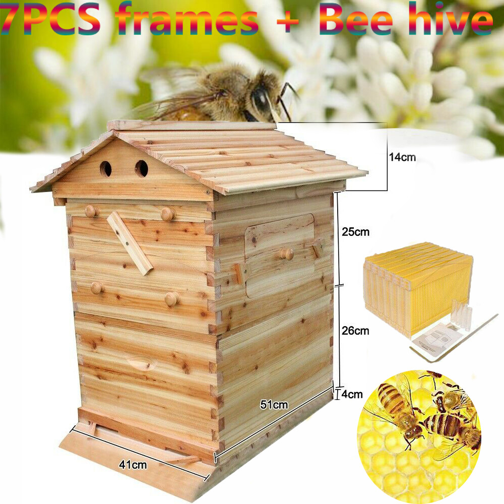 Upgrade 7X Auto Honey Hive Beehive Frames + Beekeeping Brood 2 Layer Box house