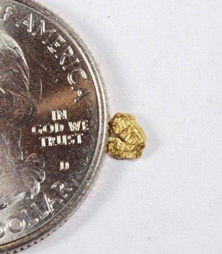 Alaskan-Yukon BC Gold Rush Natural Gold Nugget 0.07 Grams Genuine