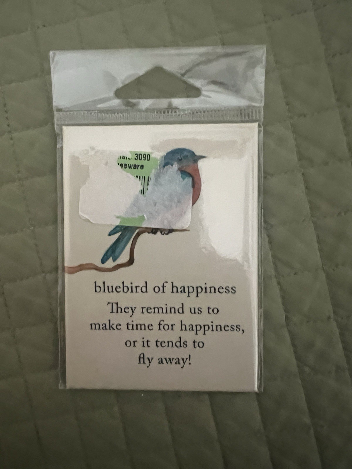 BLUEBIRD OF HAPPINESS Magnet Meanings Of Life New