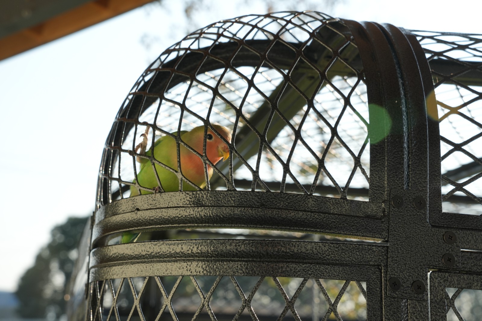 Extra Large Flight Metal Bird Cage Aviary Parrot Macaw Finch Tight Bar Spacing