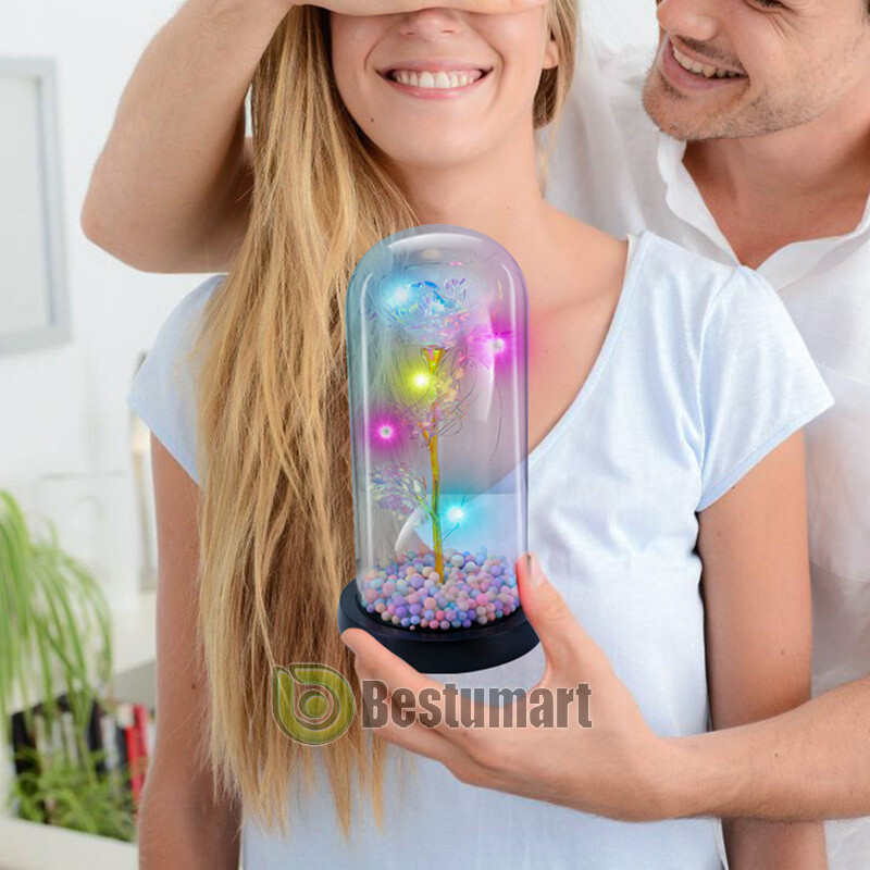 Forever Galaxy Rose Flower In Glass Dome LED Light Eternal Gift Valentine's Day