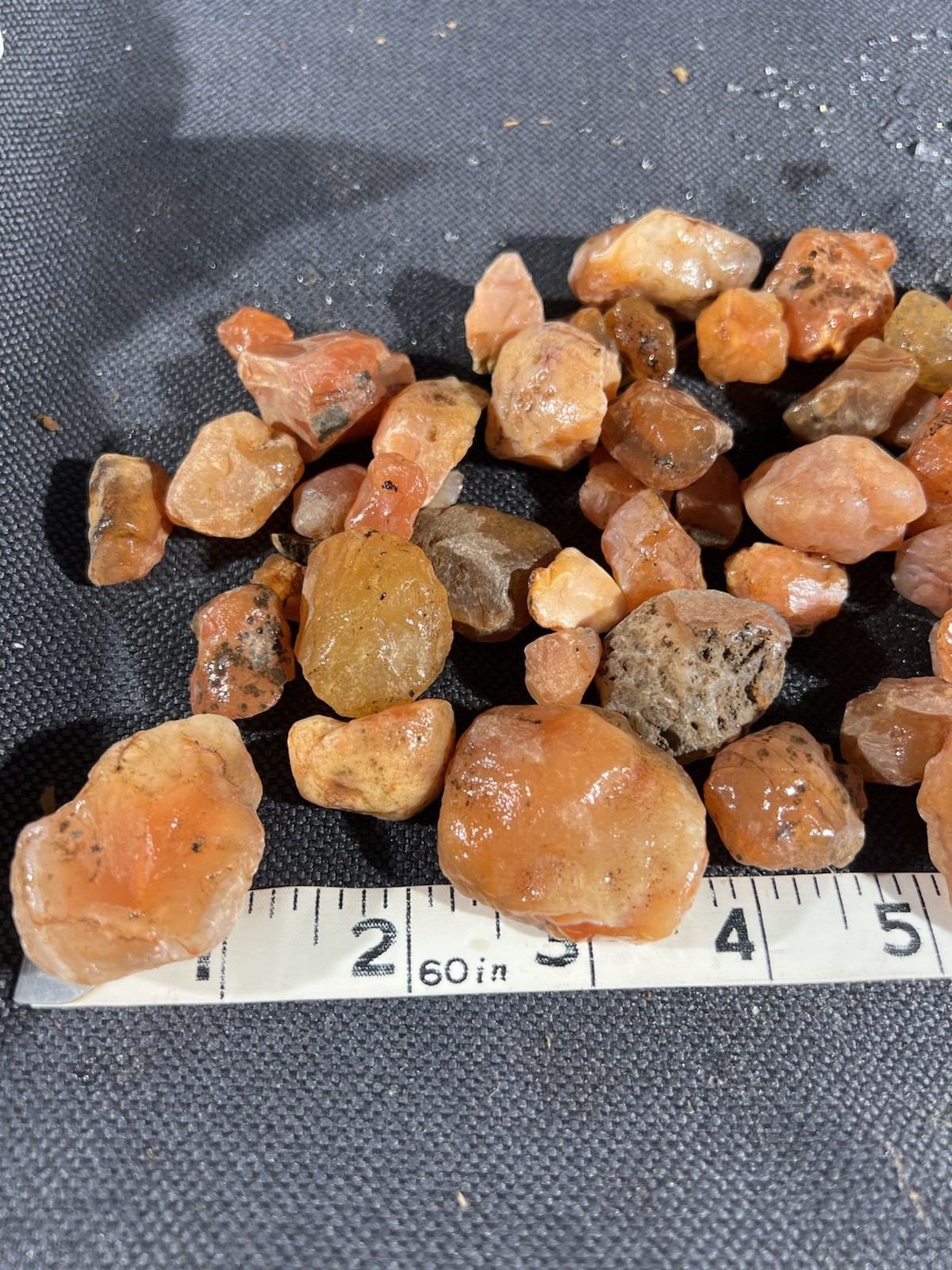 Carnelian Agate Nugget Rough 1 lb 4.5 oz 40 in lot Oregon, great color