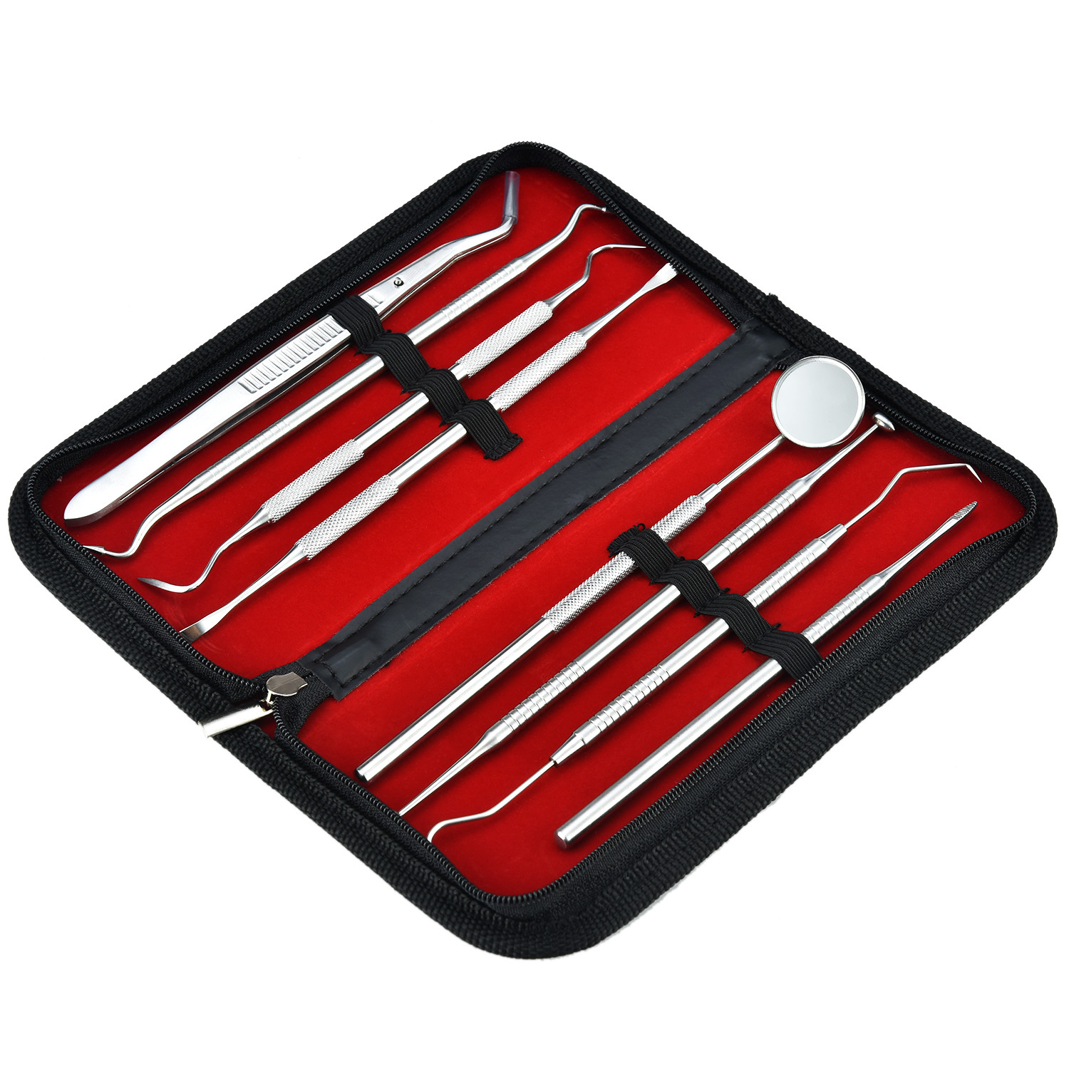 Professional Dental Oral Hygiene Kit 8 Tools Deep Cleaning Teeth Care Travel Set